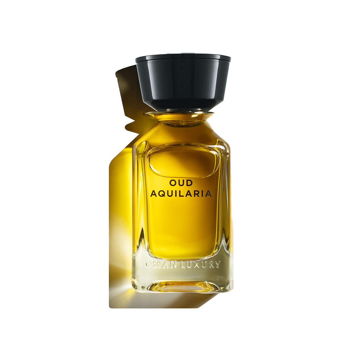 Oud Aquilaria