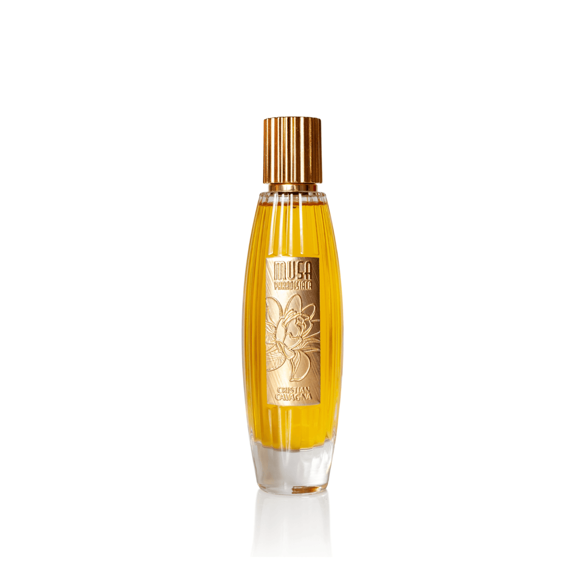 Musa Paradisiaca