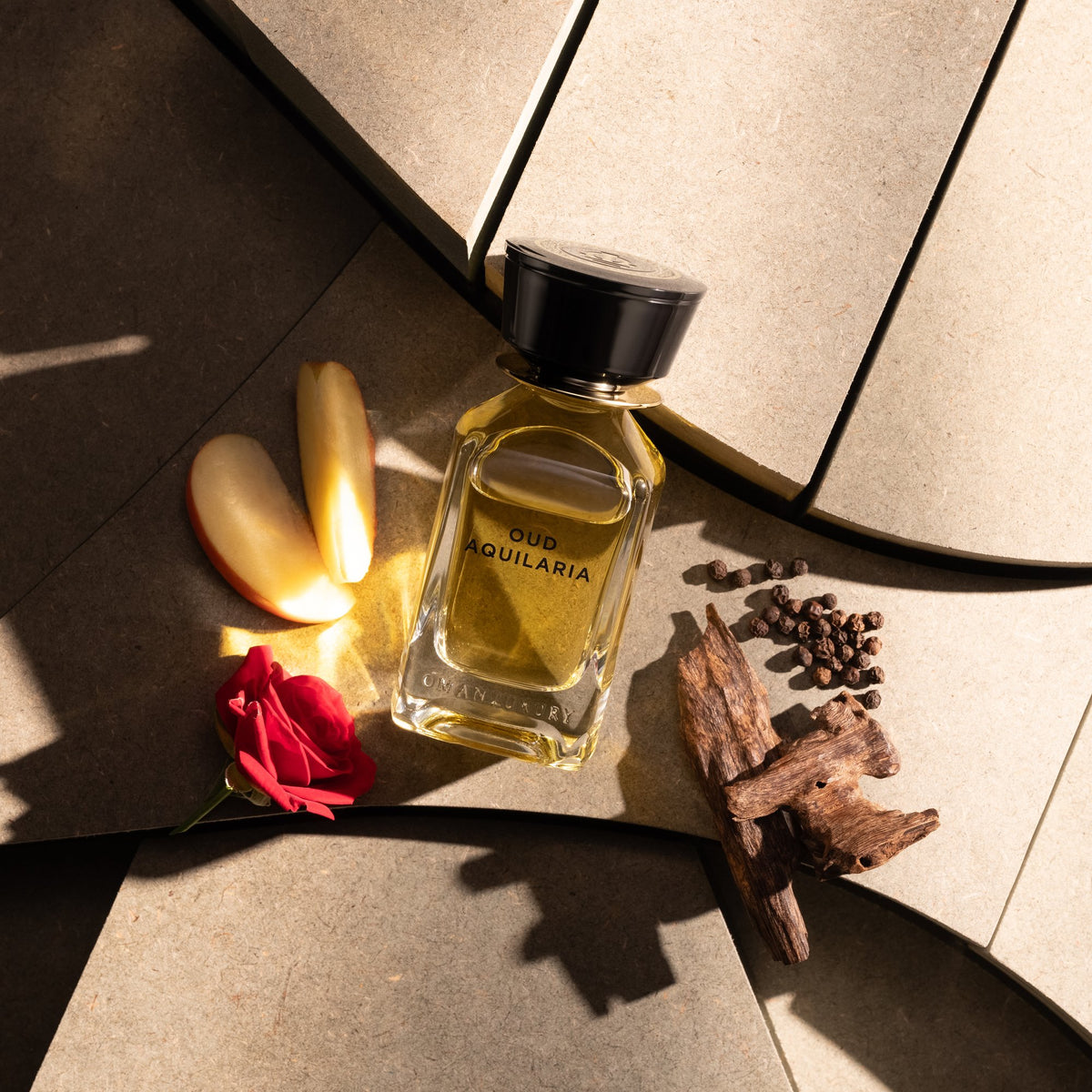 Oud Aquilaria